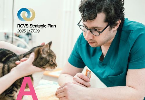 Male vet and cat