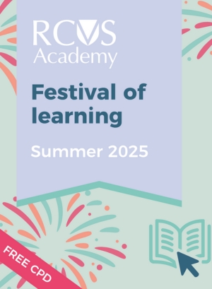 Academy Festival of Learning Poster