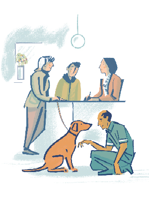 Illustration of a practice reception and a vet with an owner and dog
