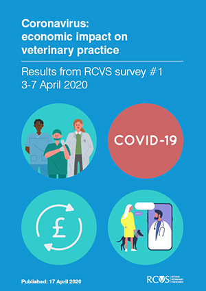 Cover image of the RCVS COVID survey conducted with veterinary practices in April 2020 
