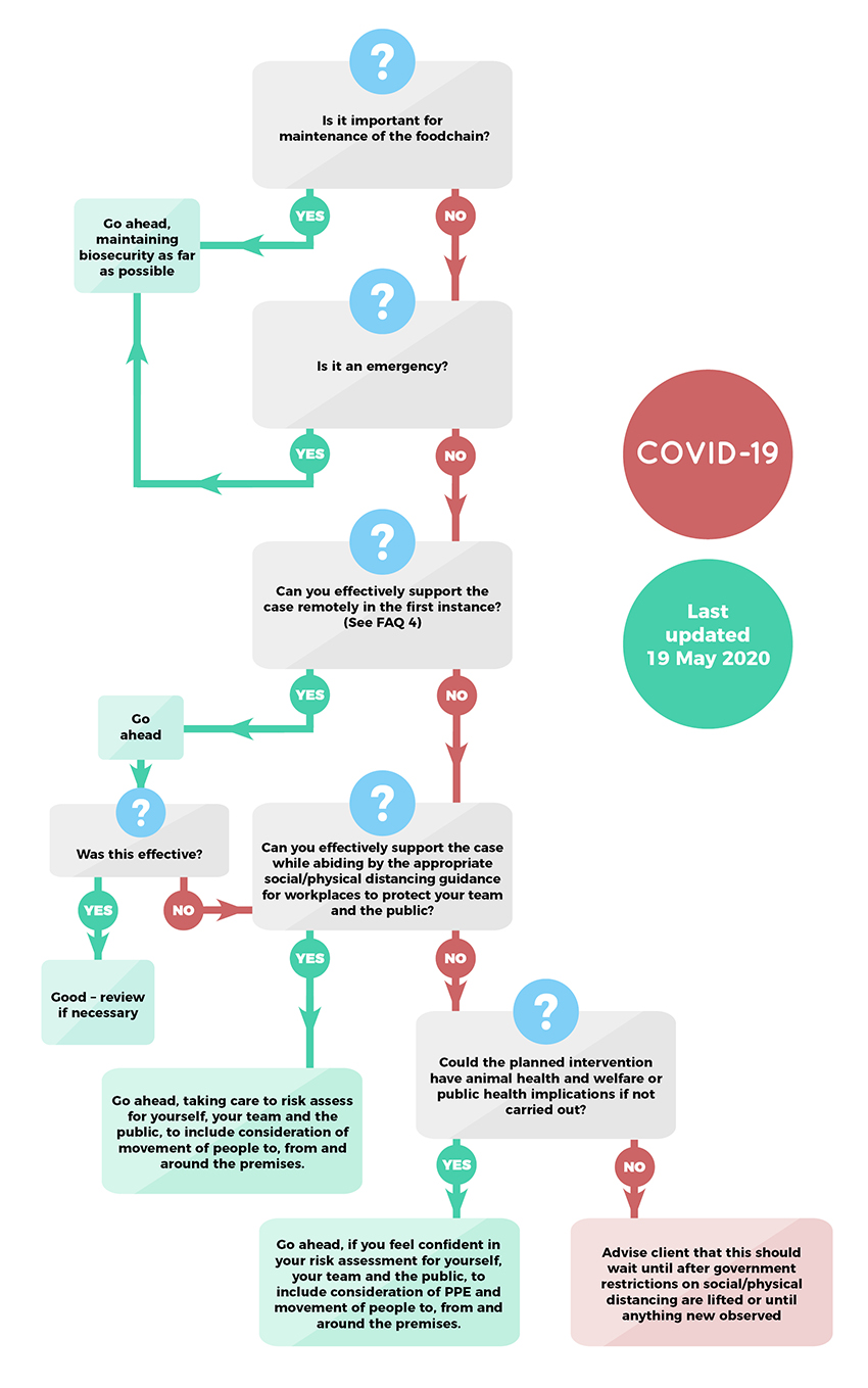 Care Home Guidance Covid Scotland