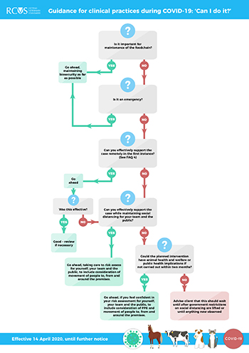 Coronavirus practice flow chart