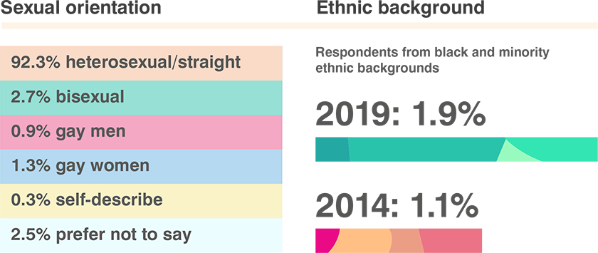 DIG info graphics - VNs sexual orientation and ethnic background
