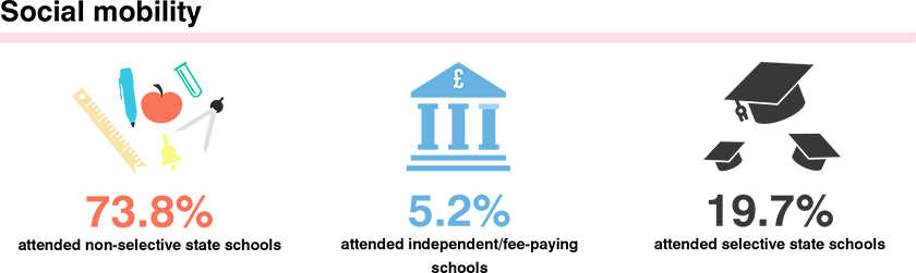 DIG info graphics - VNs social mobility