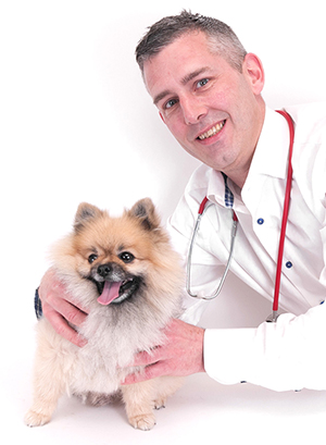 Daniel Doherty, RCVS Council 2023 election candidate 