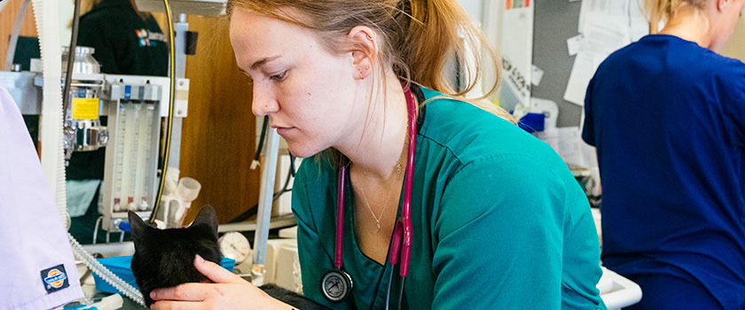 Student vet with a black cat