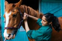 A female vet places a halter on a horse