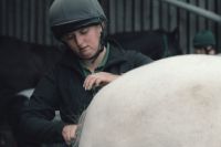 A female vet checks over a grey pony