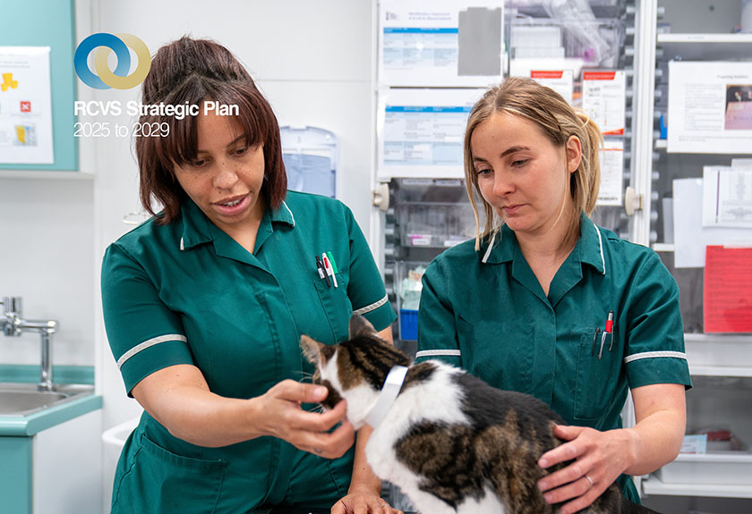 Two veterinary nurses with a cat