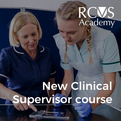 Find our new Clinical Supervisor course on the RCVS Academy