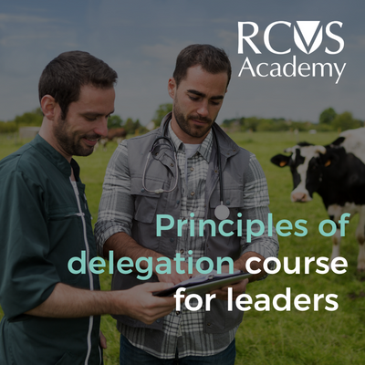Join our Delegation course on the RCVS Academy