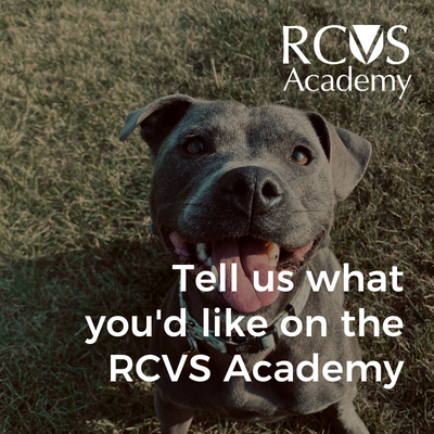 Complete our RCVS Academy Survey