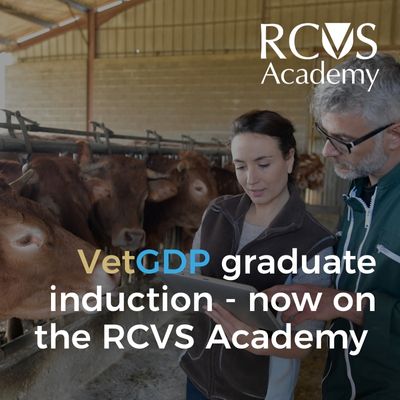 VetGDP Student Induction on the RCVS Academy