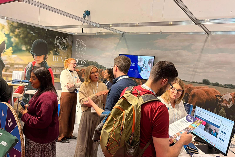 The RCVS stand at London Vet Show 2025 