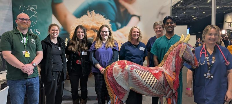 Members of the RCVS team at the stand 