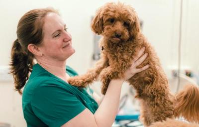 Side profile of veterinary nurse holding dog and smiling