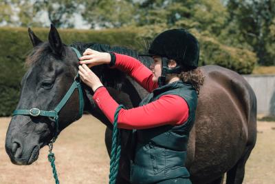 Female vet student putting bridal on horse