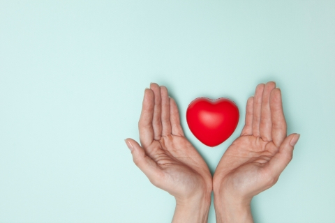 Two hands holding a heart