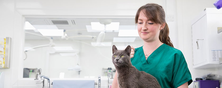 overseas veterinary Student