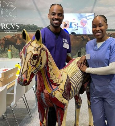 Man and woman in veterinary scrubs smile beside an anatomical foal model