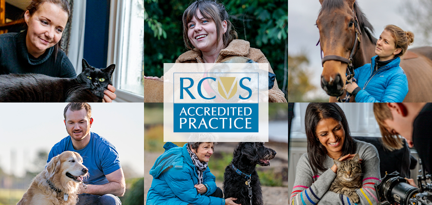 Practice Standards Scheme composite image with logo