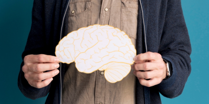 pair of hands holding a cardboard cut out of a brain