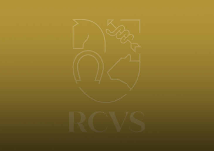 Supporting guidance for veterinary nurses