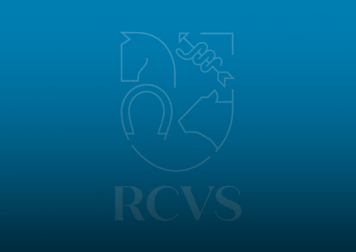 Supporting guidance for vets