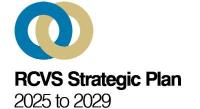 Stronger Together Strategic Plan logo