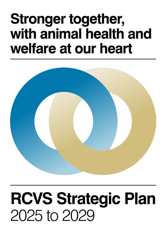 Strategic Plan 2025-2029  Cover logo