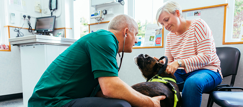 Vet with dog and client