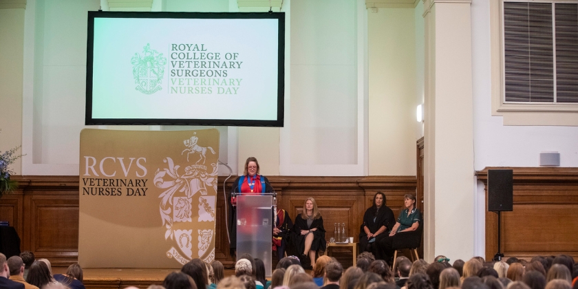 Belinda Andrews-Jones giving her address at VN Day 2025 - she is stood on the stage with the audience facing her