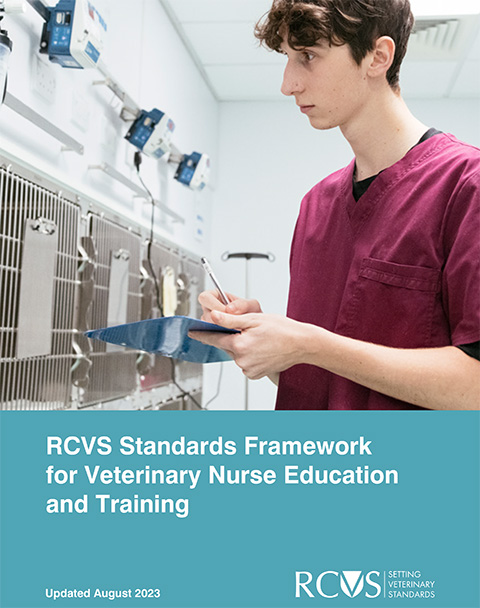 VN Standards Framework August 2023 front cover