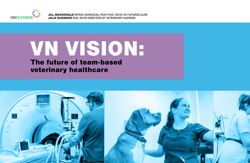 VN Vision: the future of team-based veterinary healthcare snapshot report front cover 
