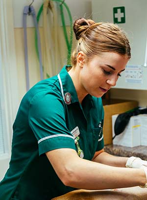 Vet nurse with dog