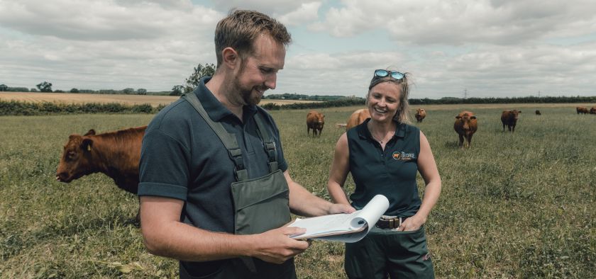 Vets in field with cattle