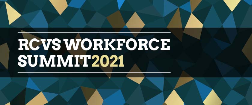 Workforce Summit Nov 2021 agenda