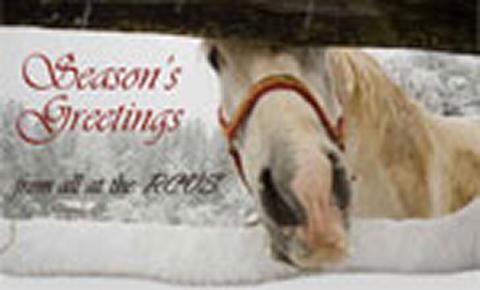 Christmas and New Year opening times at the RCVS