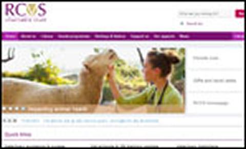 A new look and direction for the Trust