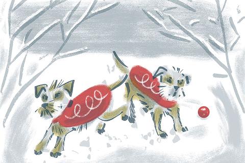 RCVS Christmas card image