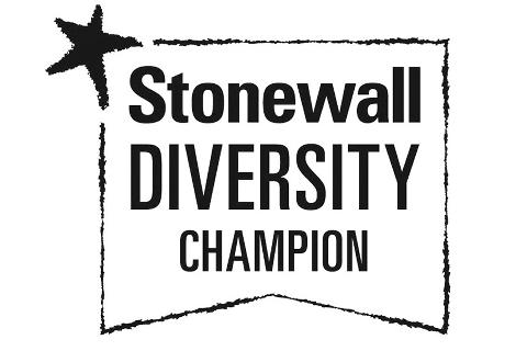 Stonewall Diversity Champion logo