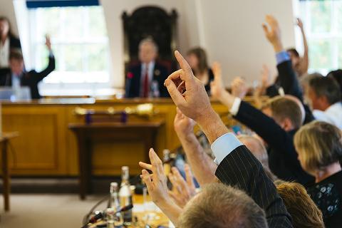 Raised hands at an RCVS Council meeting