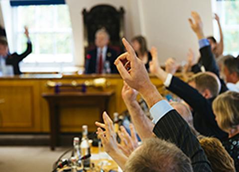 RCVS Council members raising hands