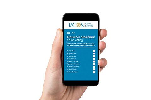 RCVS Council election graphic