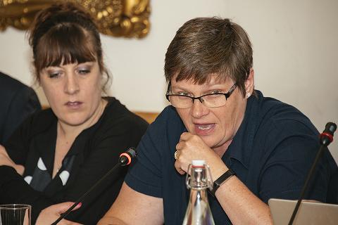 Dr Sue Paterson at RCVS Council's June 2019 meeting