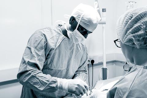 RCVS reports on 2018’s achievements