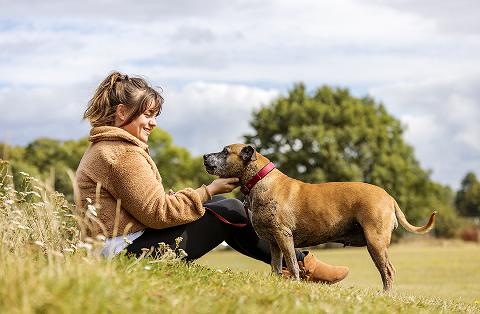 Scout and Roo Bear are featured in the Your Kind of Vet digital Practice Standards Scheme campaign
