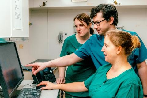 Three veterinary professionals working together looking at a screen
