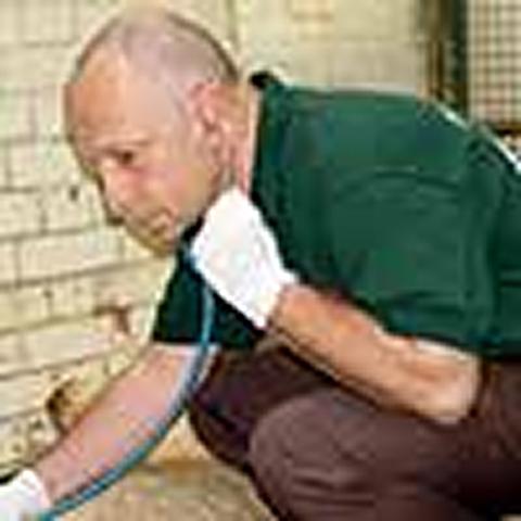 RCVS Day 2006 - open to all