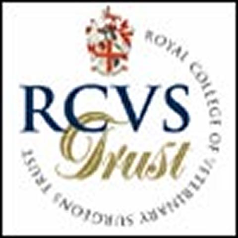 RCVS Trust launches bigger grants round for 2008
